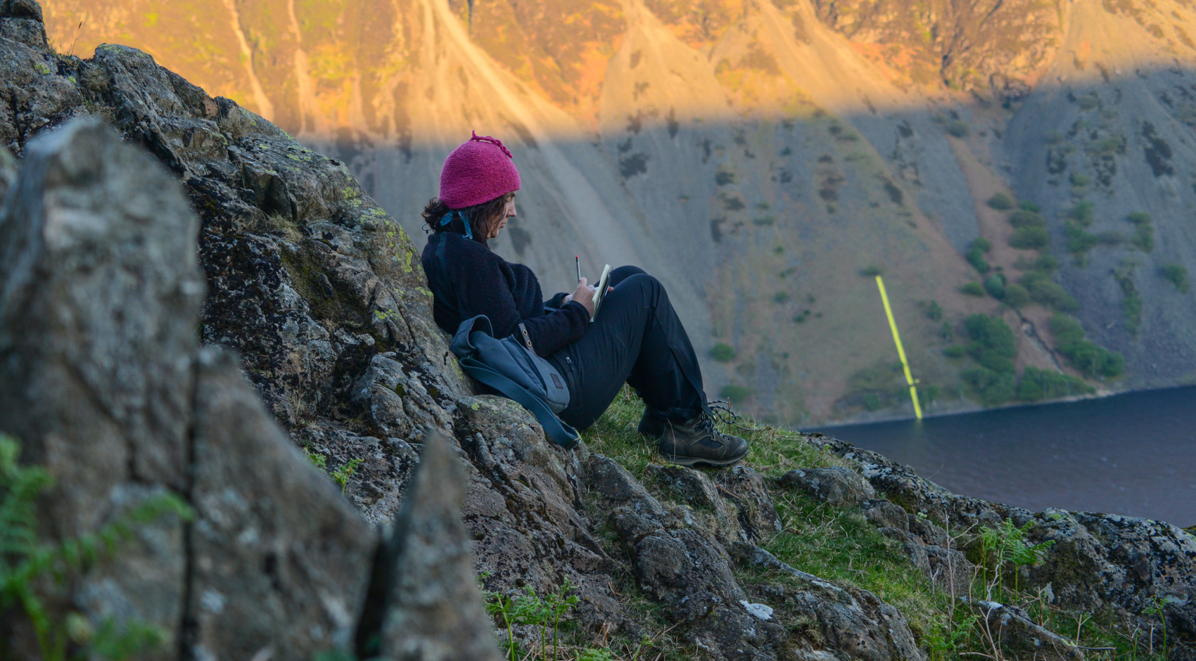 hari and yellow line may 10 2016