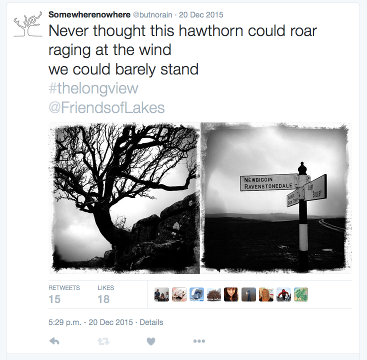 Hawthorn tweet image 151221