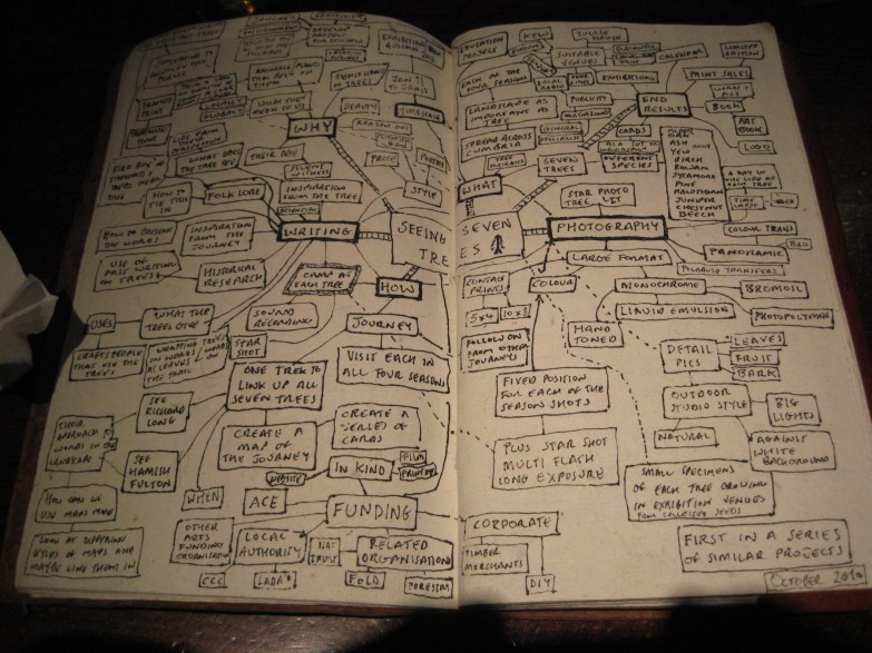 seeing seven trees the long view plan