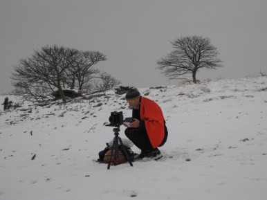 rob fraser photographing trees