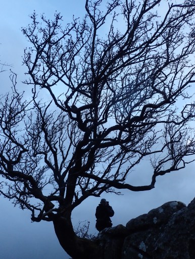 Rob Fraser at Little Asby Hawthorn