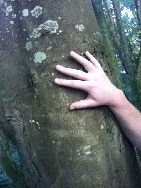 Annabel Bank's hand on the Stopping Tree