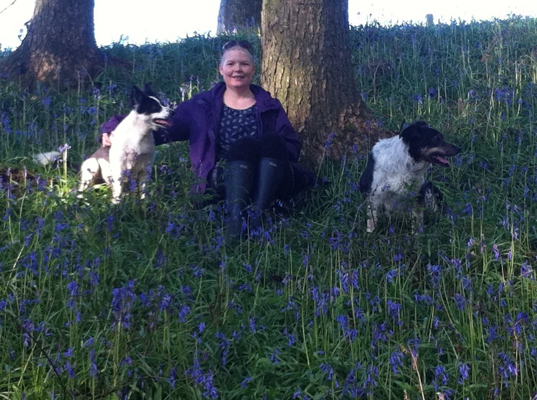 claire bowker at her beech tree