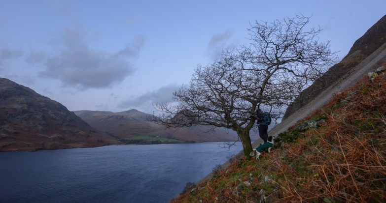 beneath the Wasdale Oak