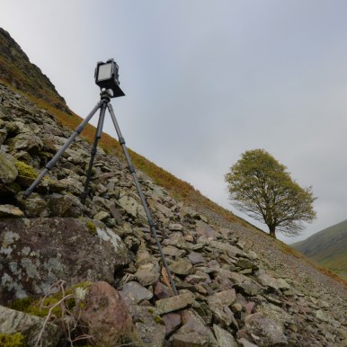 shooting the Under Helm Sycamore