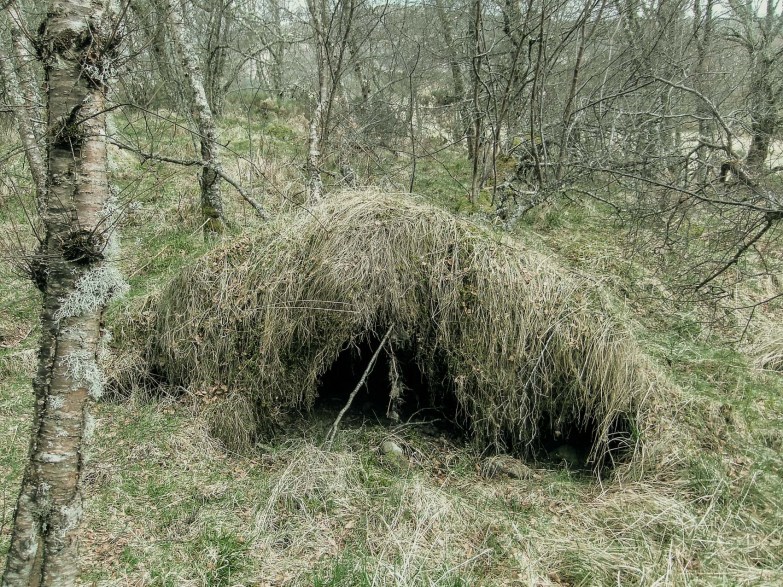 Rachael Clyne's Birch Moniack Mhor Invernesshire