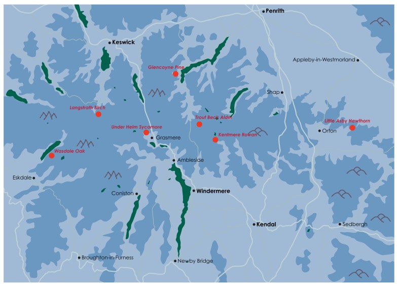 The Long View - map of trees - with names