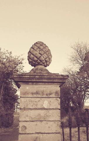 Upton Pyne gatepost (Amanda Drake)