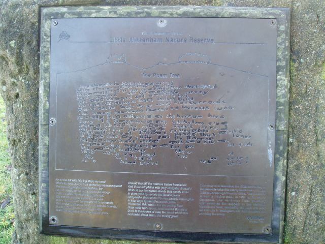 Little Wittenham Nature Reserve