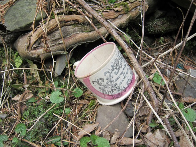 sycamore midden Kerry Darbishire