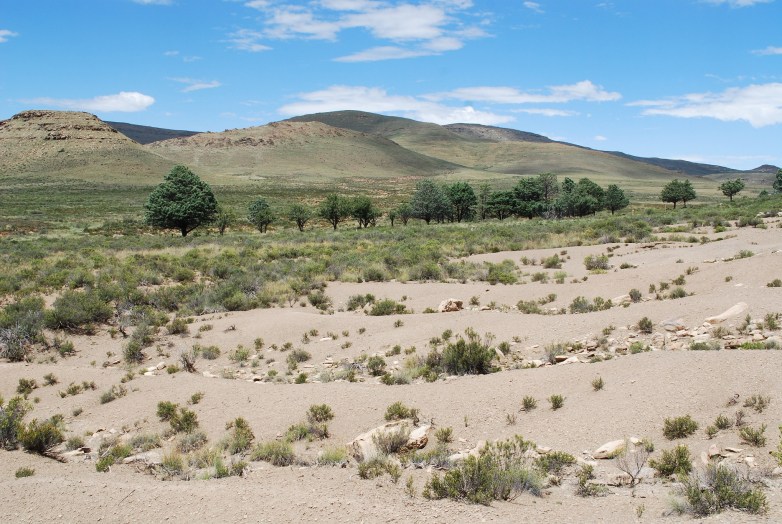 Oppermanskraal orchard photo john boardman