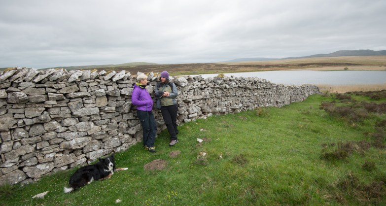 Understanding the ecology of a limestone tarn.