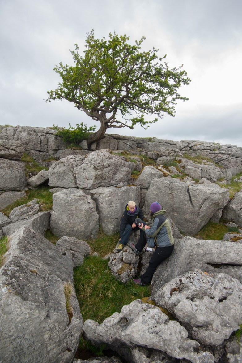 Talking below the Little Asby Hawthorn