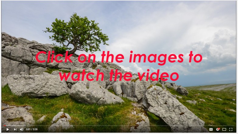 Orton School video link