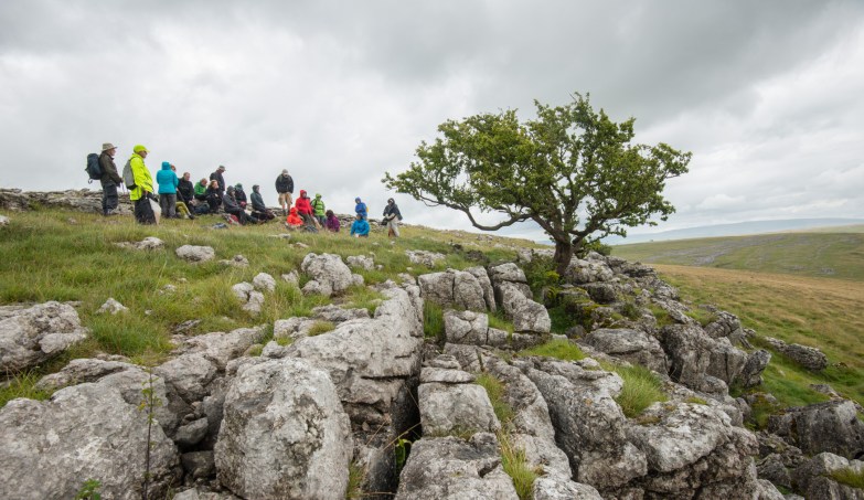 Poetry at the Hawthorn