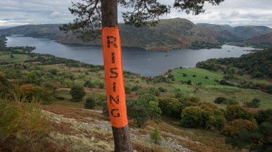 'Rising' on the Glencoyne Pine