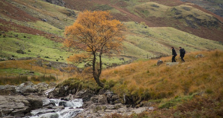 at the Langstrath Birch with Natural England Adviser, Jean Johnson