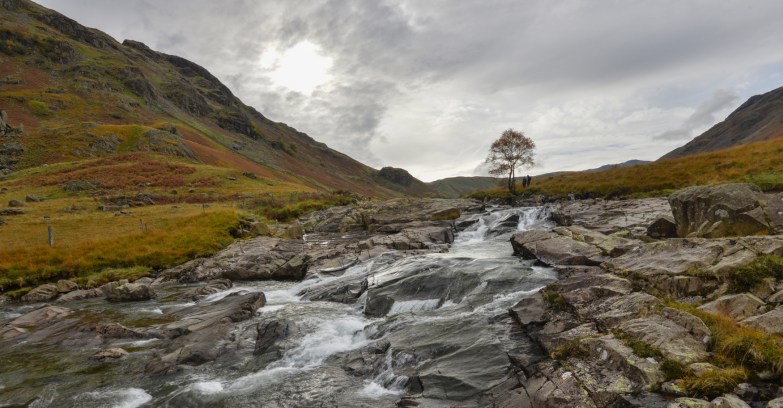 Langstrath Beck flowing past the Langstrath Birch in Borrowdale
