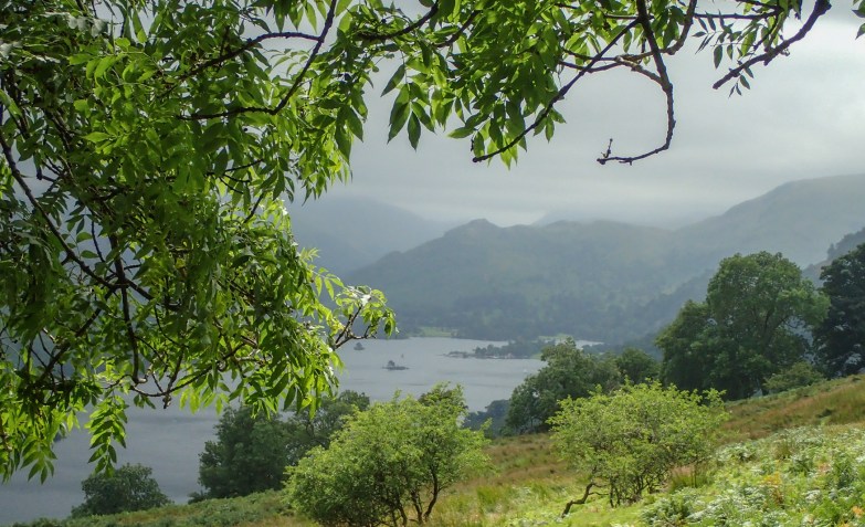 View of Ullswater from beneath an ash.