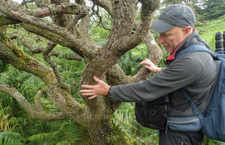 Rob Fraser at a Hawthorn in Glencoyne Park