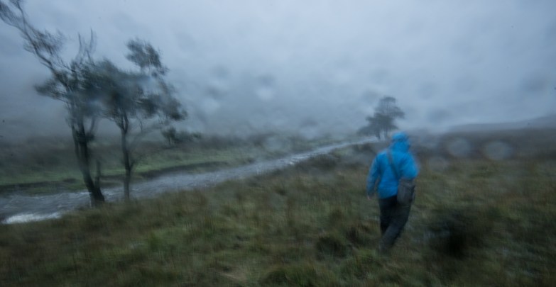 Walking to the Trout Beck Alder