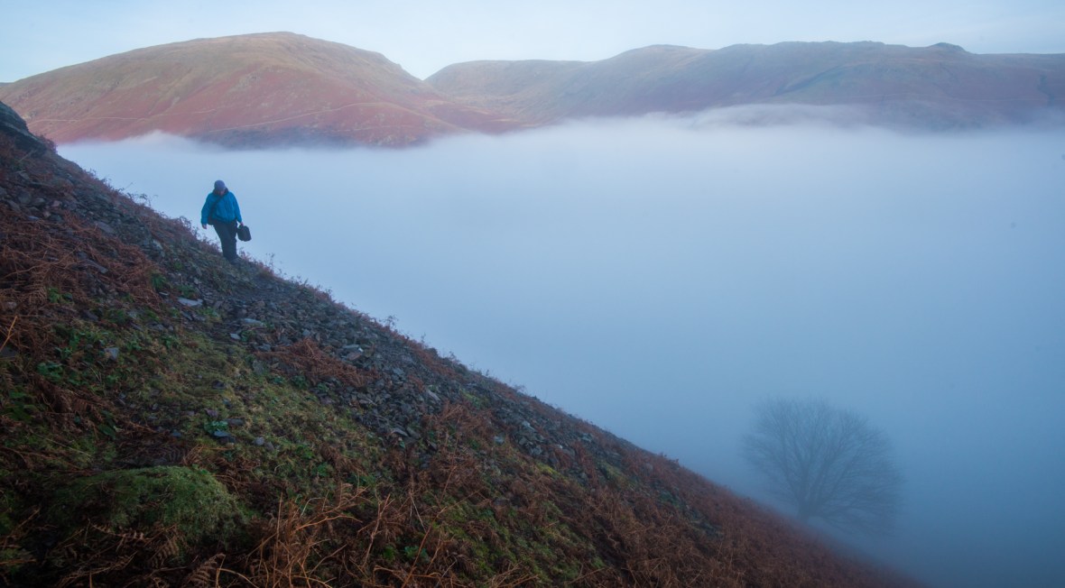 Under Helm Crag with the Under Helm Sycamore in mist