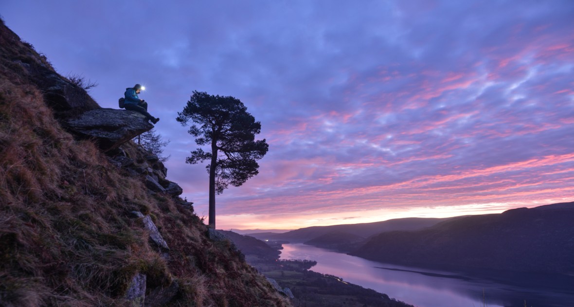 Writing at the Glencoyne Pine while the sun rises in midwinter