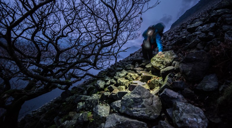 Walking in to the tree