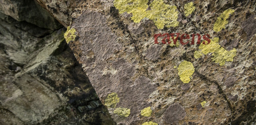 'ravens' on rock