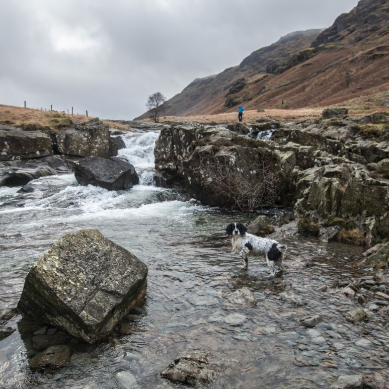 Guilly waiting for the ball to appear.