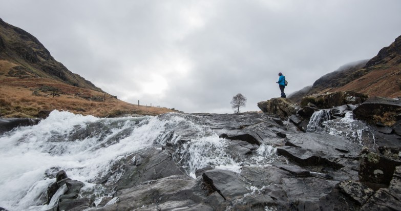 the Langstrath Birch in Borrowdale