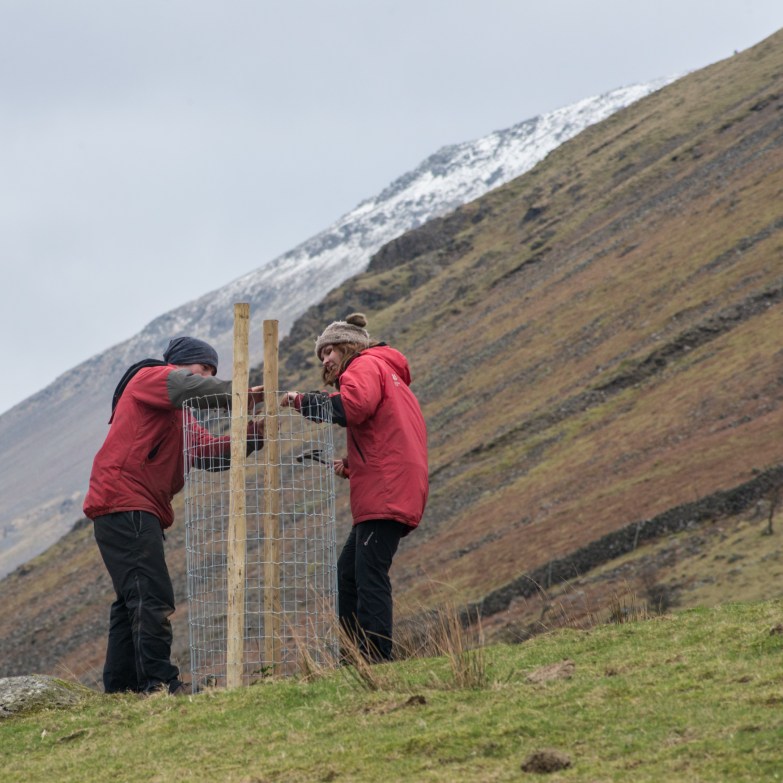 Placing a wire cage under Lingmell.