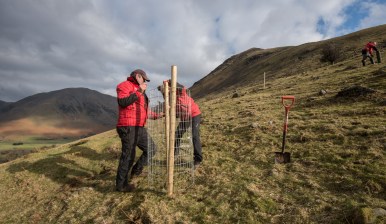 Making one of the 50 cages built in Wasdale.