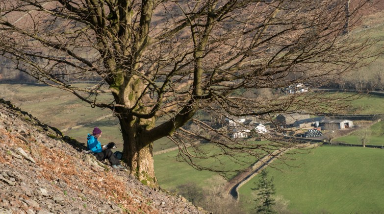 Harriet writing beneath the Under Helm Sycamore with Town Head Farm behind.