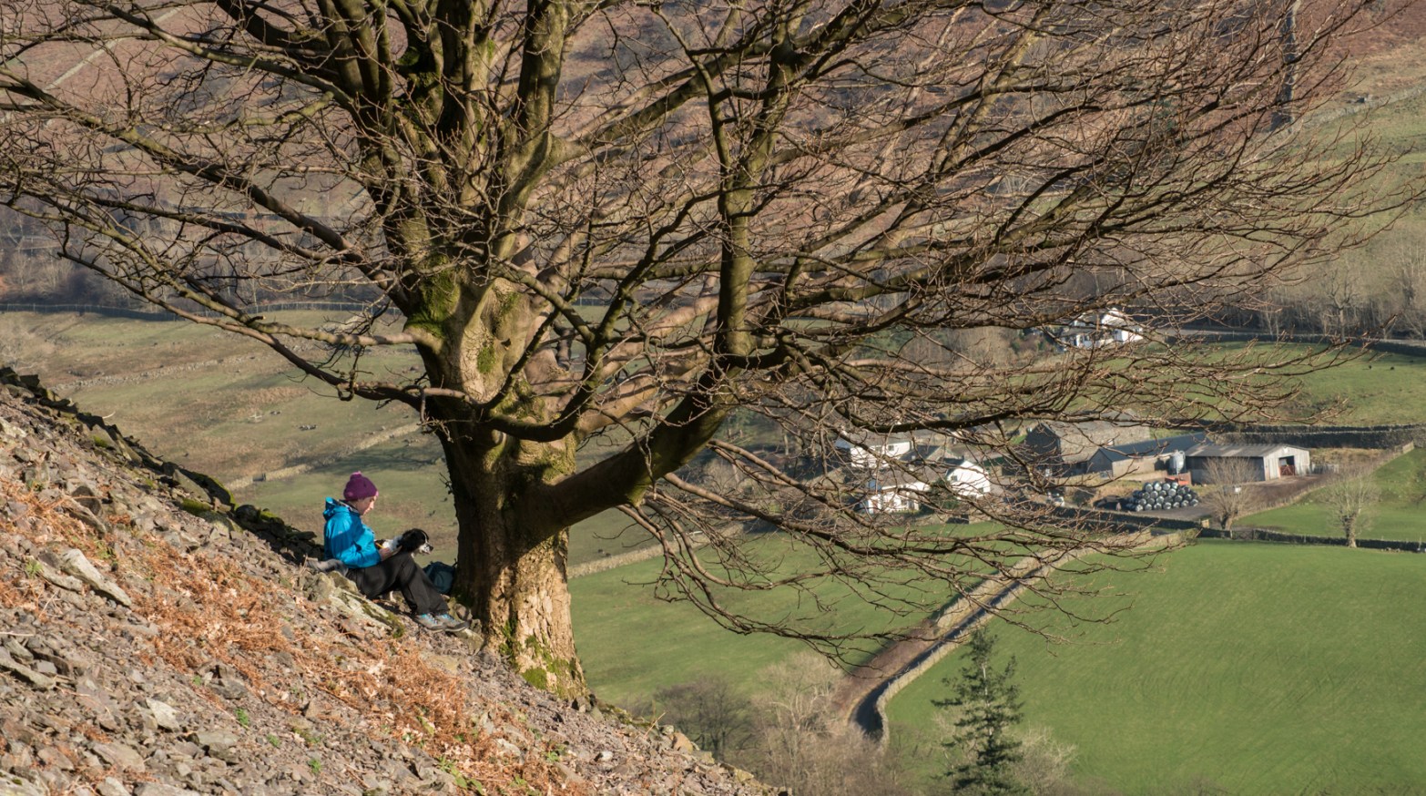 Harriet writing beneath the Under Helm Sycamore with Town Head Farm behind.