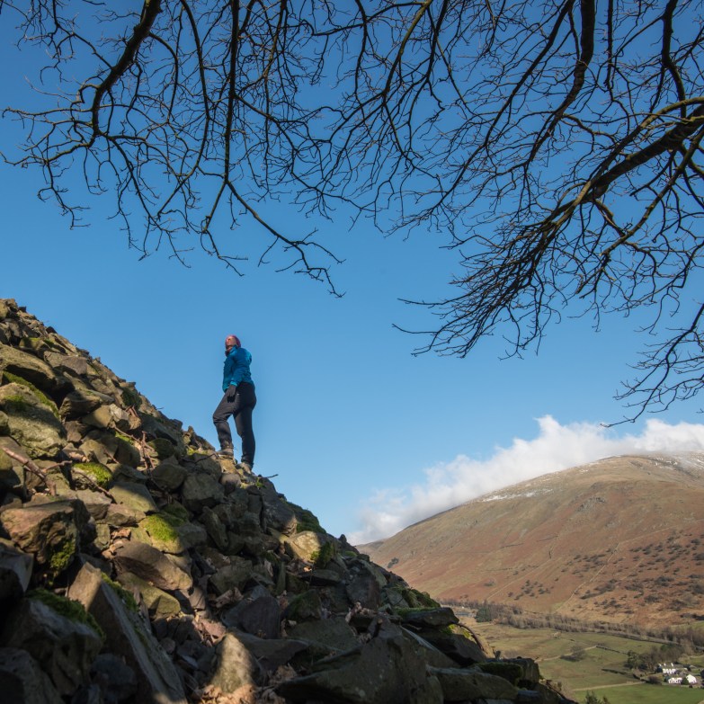 Beneath the Sycamore