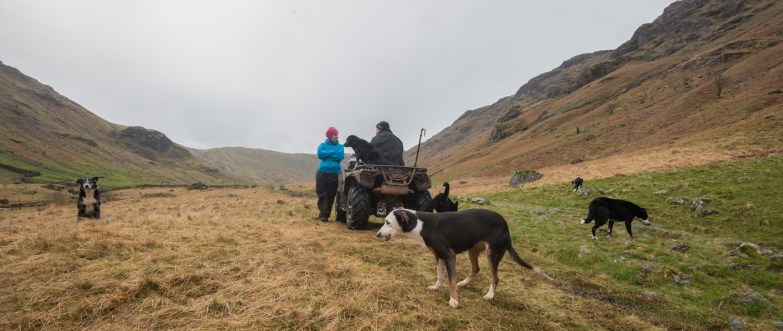 chatting to Joe Weir near the Langstrath Birch