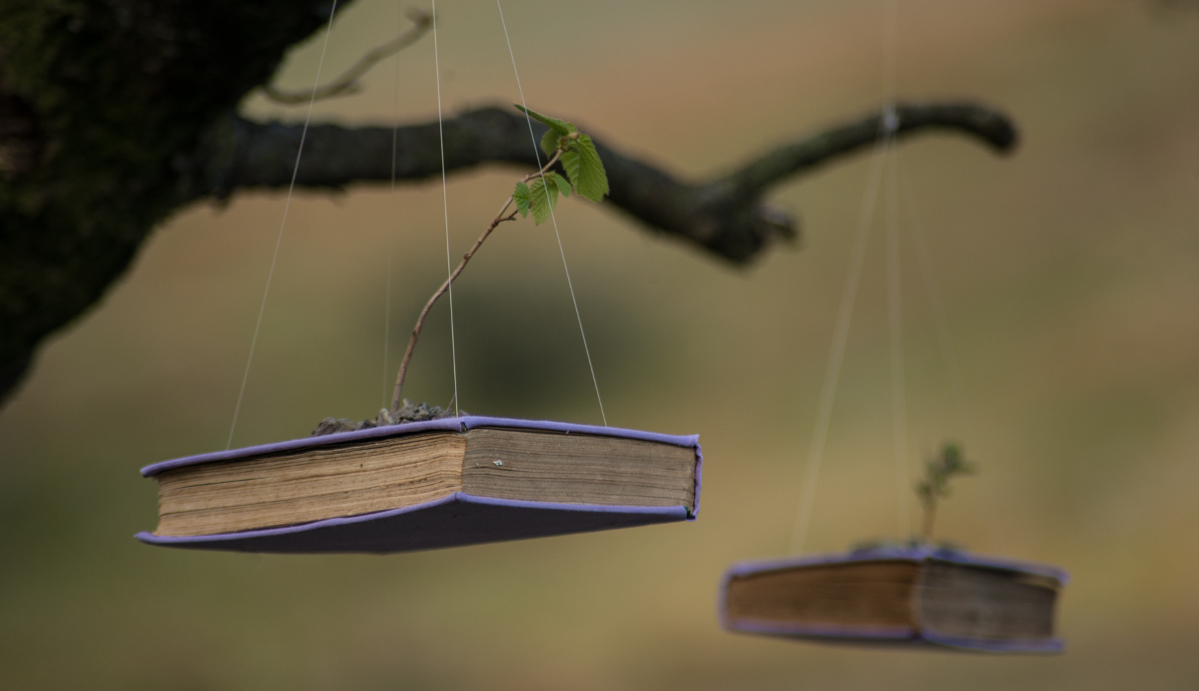The Long View installation at the Troutbeck Alder, May 2017
