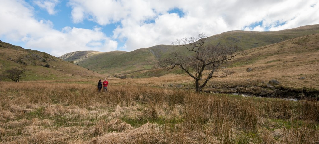 Trout Beck Alder April 2017 with John Pring, National Trust