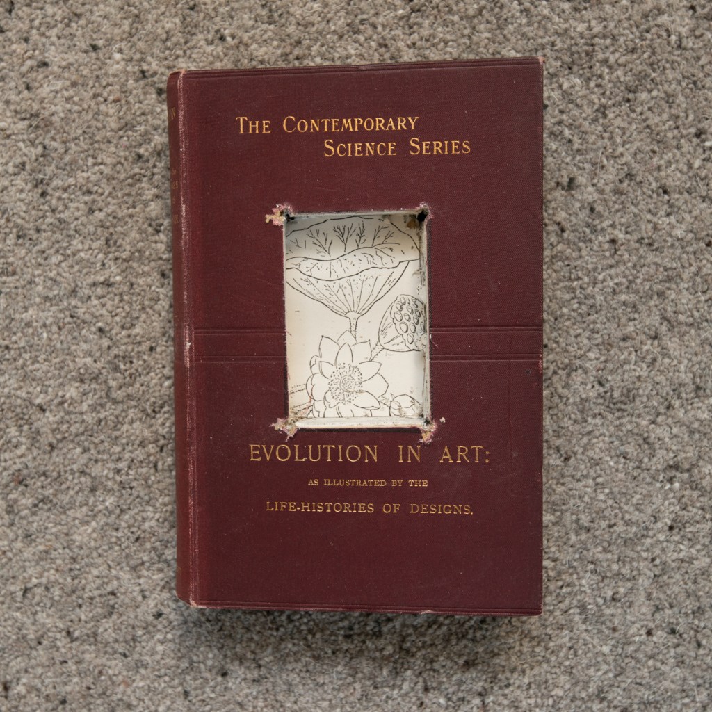 Evolution in Art - Book for a Tree for The Long View Violet Installation