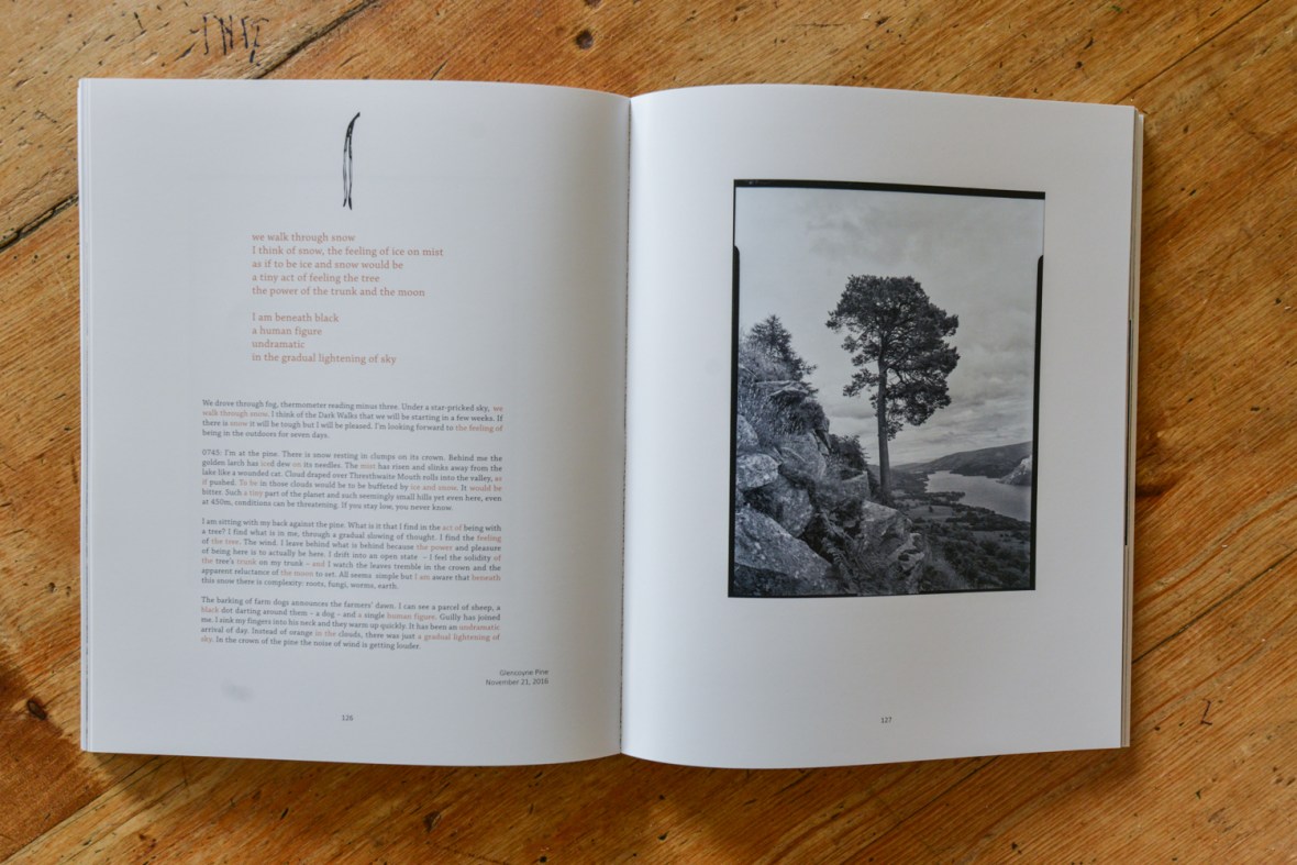 The Long View book - section from Finding Poems