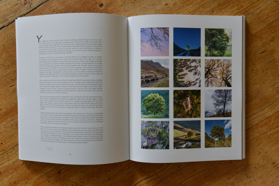 The Long View book - section from the Langstrath Birch
