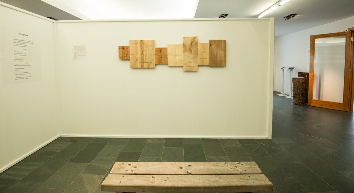 the Light Walk piece is 7 foot long and made of the seven different types of wood. It represents the walk that we did over midsummer 2016, linking each of the seven trees in one continuous walk.