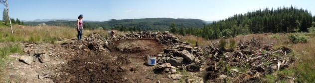 treefold:centre circle marked out