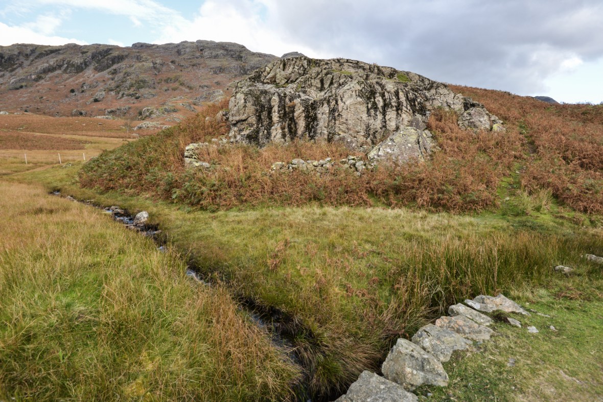 In Wasdale the treefold is being constructed using the remnants of a collapsed sheep fold and in the same place