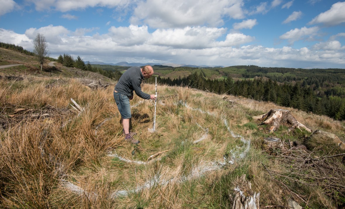 Rob marking out the site of the treefold at Grizedale