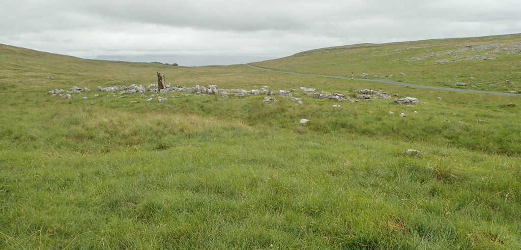 site of the treefold at Little Asby Common