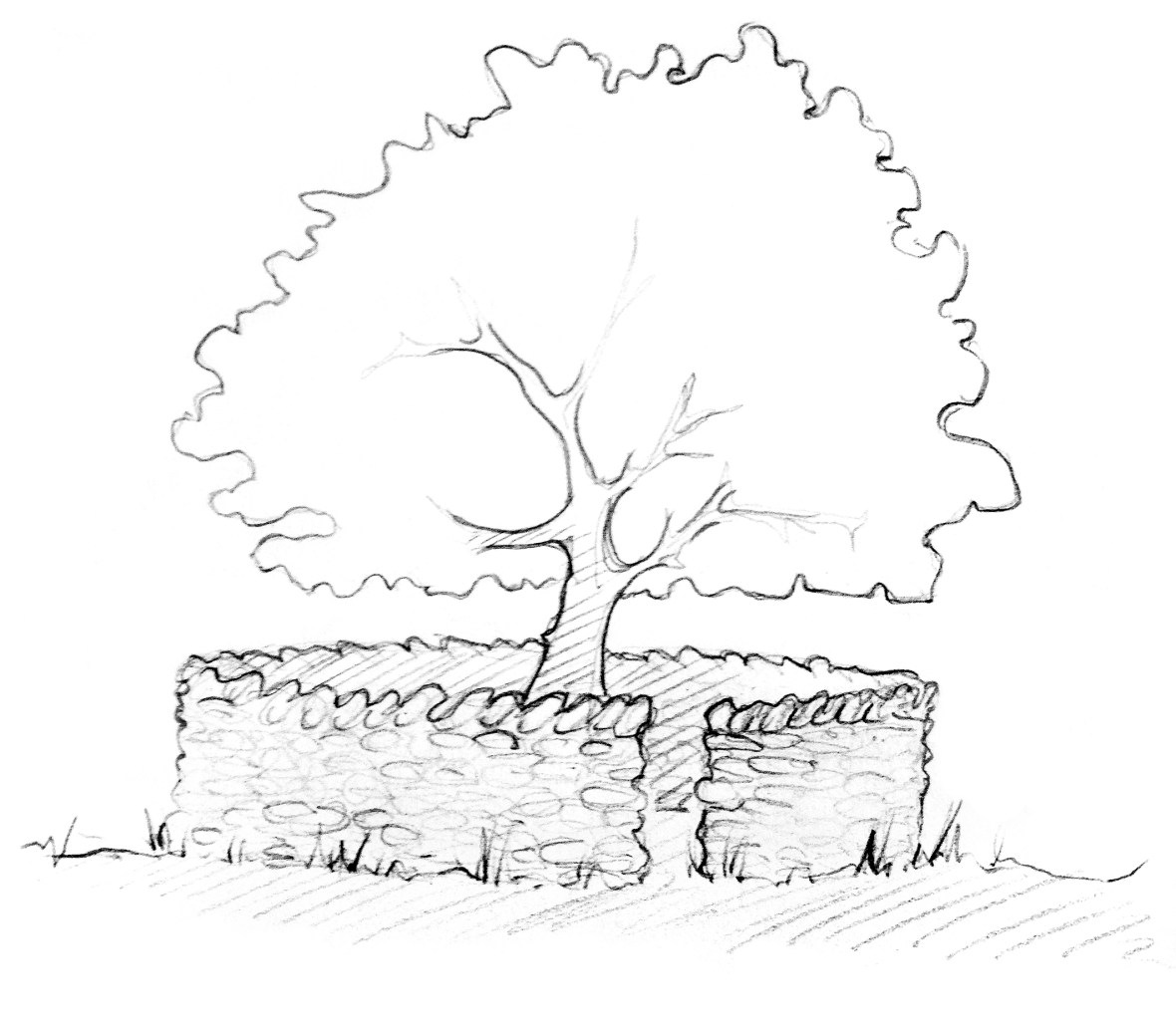 artists impression of the Treefold, once the tree has become established.