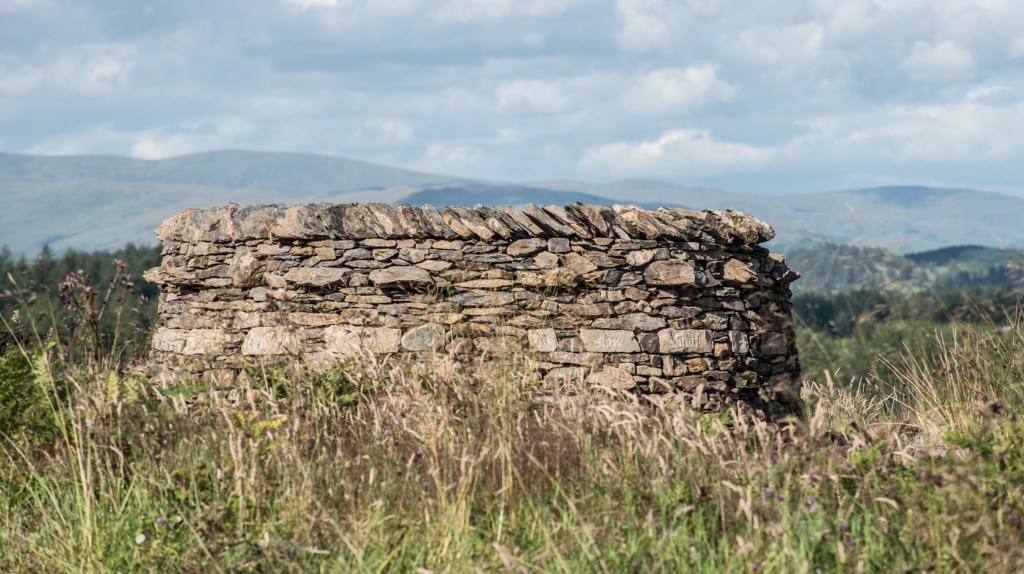 treefold:centre Grizedale - almost complete