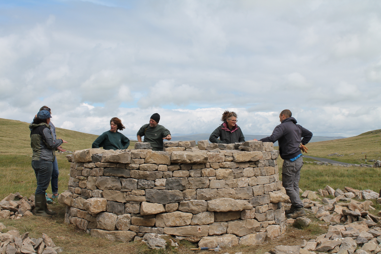 treefold:east construction with key players